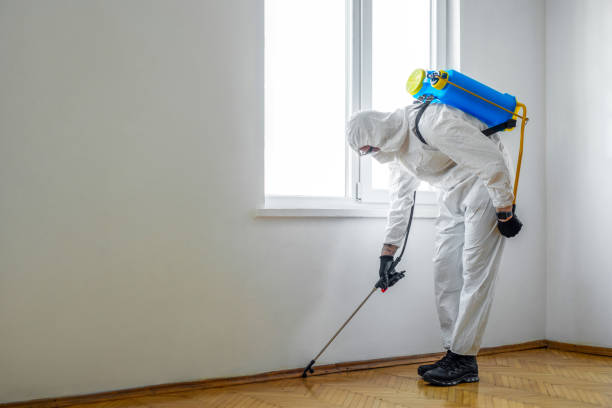 Real Estate Pest Inspections in Huntsville, AR